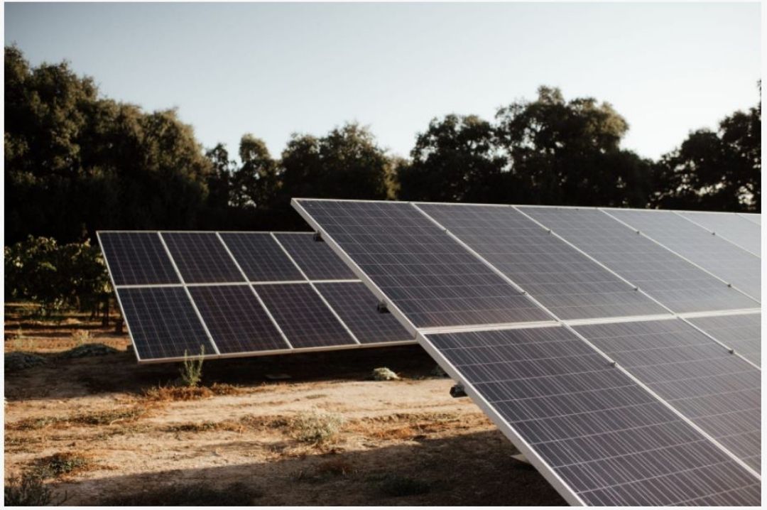 Solar panels, sustainable wine-growing Sustainably_produced_wine