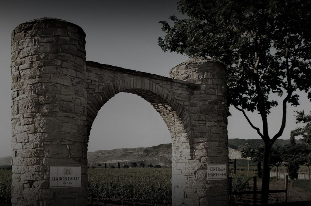 Baron De Ley Baron_De_Ley