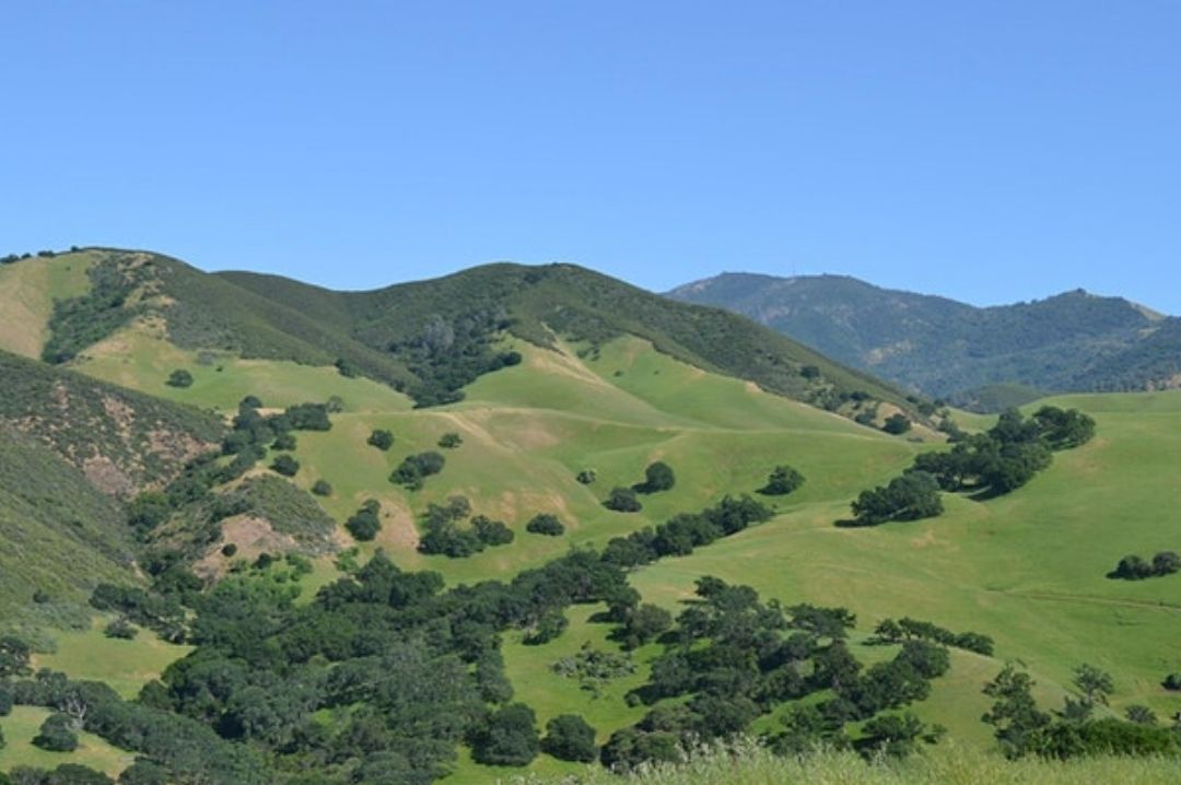 SF's Meditation Hike meditation_hike