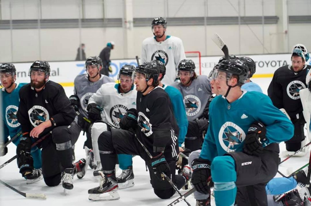 San Jose Sharks San Jose Sharks