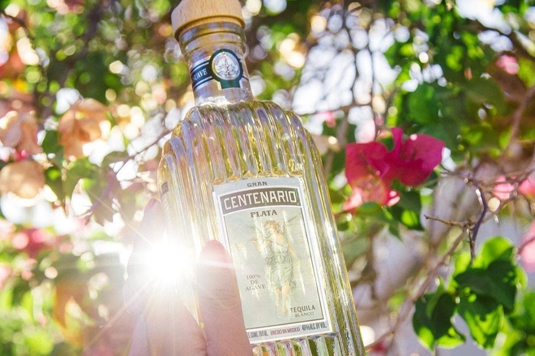 Blanco tequila grancentenarioplata blanco silver tequila